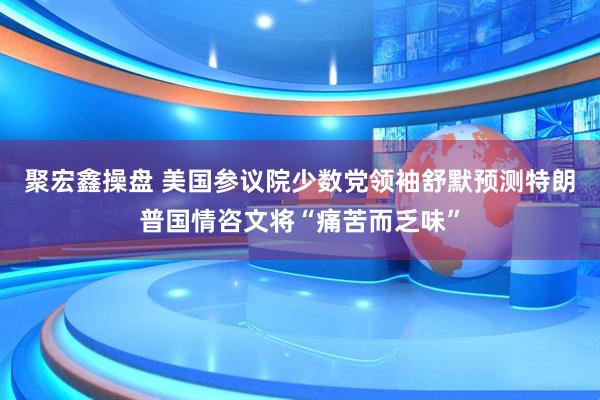 聚宏鑫操盘 美国参议院少数党领袖舒默预测特朗普国情咨文将“痛苦而乏味”