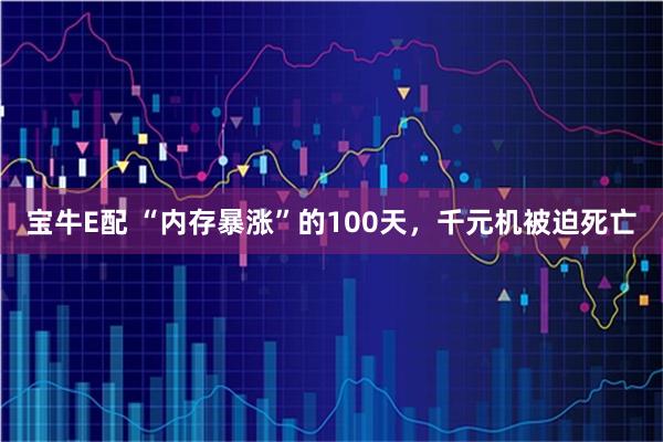 宝牛E配 “内存暴涨”的100天，千元机被迫死亡