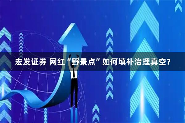宏发证券 网红“野景点”如何填补治理真空？