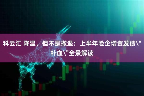 科云汇 降温，但不是撤退：上半年险企增资发债