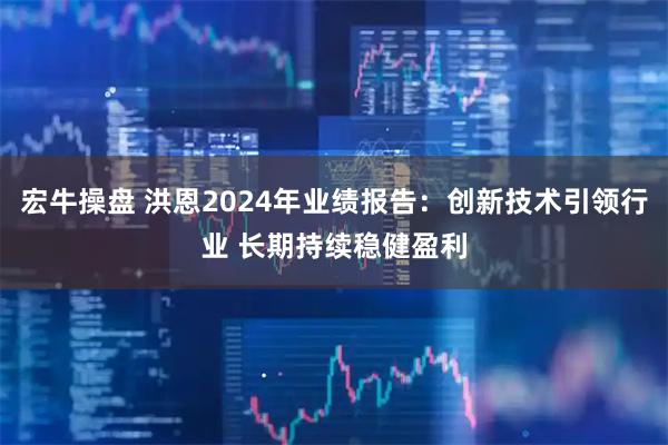 宏牛操盘 洪恩2024年业绩报告：创新技术引领行业 长期持续稳健盈利