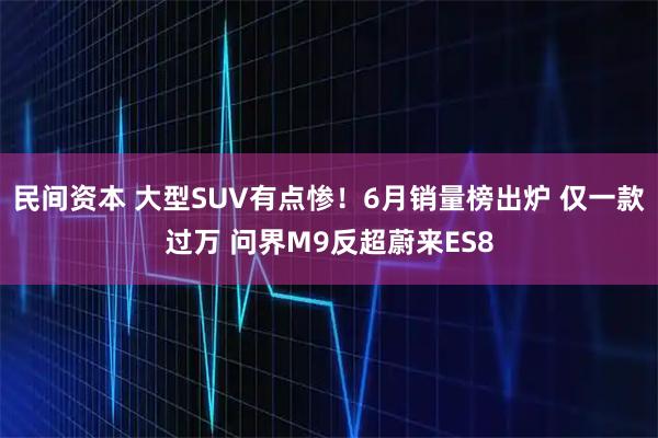 民间资本 大型SUV有点惨!6月销量榜出炉 仅一款过万 问界M9反超蔚来ES8