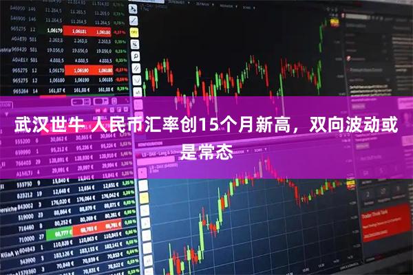 武汉世牛 人民币汇率创15个月新高，双向波动或是常态