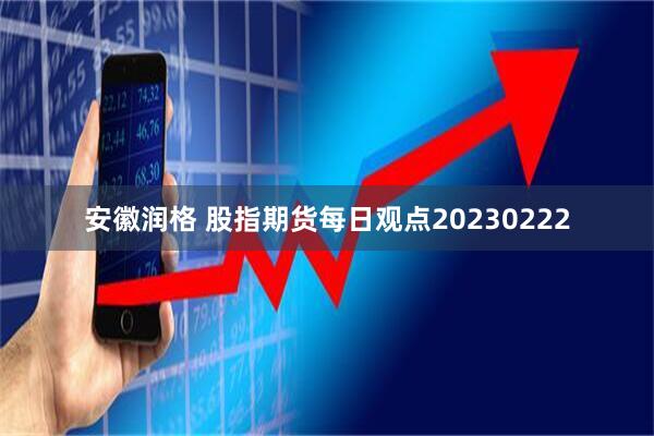 安徽润格 股指期货每日观点20230222