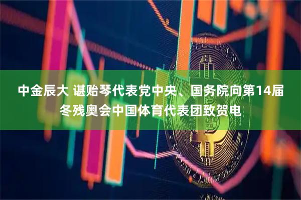 中金辰大 谌贻琴代表党中央、国务院向第14届冬残奥会中国体育代表团致贺电