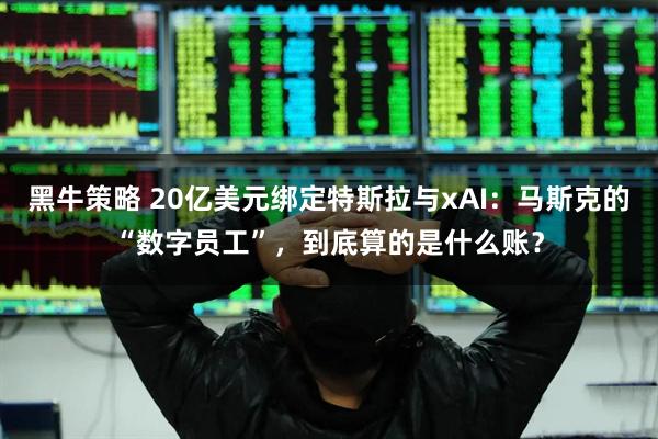 黑牛策略 20亿美元绑定特斯拉与xAI：马斯克的“数字员工”，到底算的是什么账？