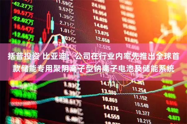 括普投资 比亚迪：公司在行业内率先推出全球首款储能专用聚阴离子型钠离子电池及储能系统
