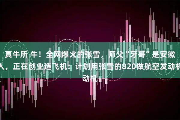 真牛所 牛！全网爆火的张雪，师父“牙哥”是安徽人，正在创业造飞机：计划用张雪的820做航空发动机
