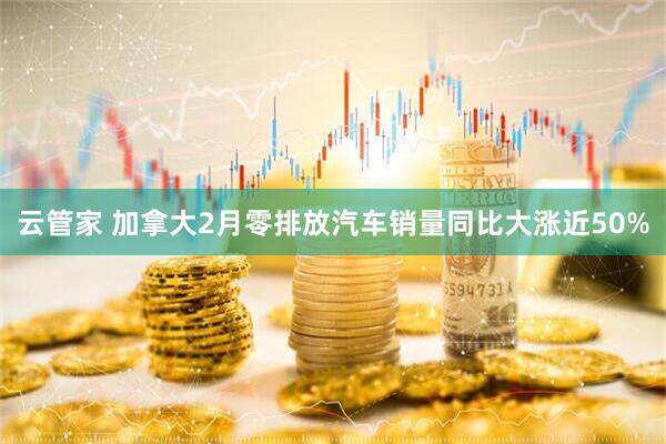 云管家 加拿大2月零排放汽车销量同比大涨近50%