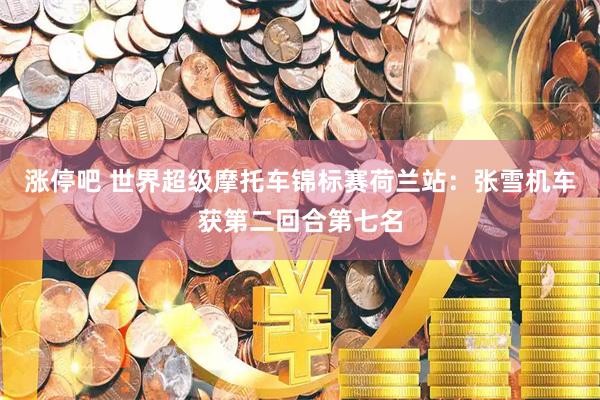涨停吧 世界超级摩托车锦标赛荷兰站：张雪机车获第二回合第七名