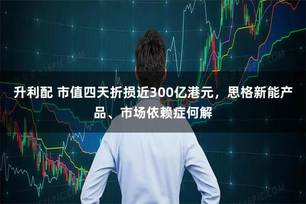 升利配 市值四天折损近300亿港元，思格新能产品、市场依赖症何解