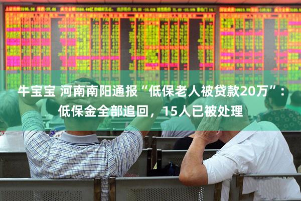 牛宝宝 河南南阳通报“低保老人被贷款20万”：低保金全部追回，15人已被处理