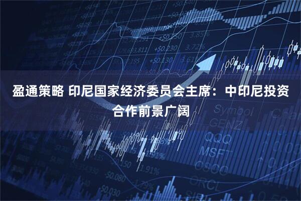 盈通策略 印尼国家经济委员会主席：中印尼投资合作前景广阔