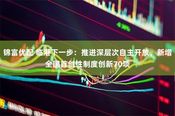 锦富优配 临港下一步：推进深层次自主开放，新增全国首创性制度创新70项